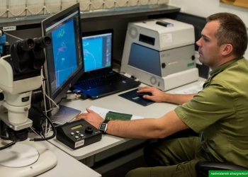 международная защита в Польше