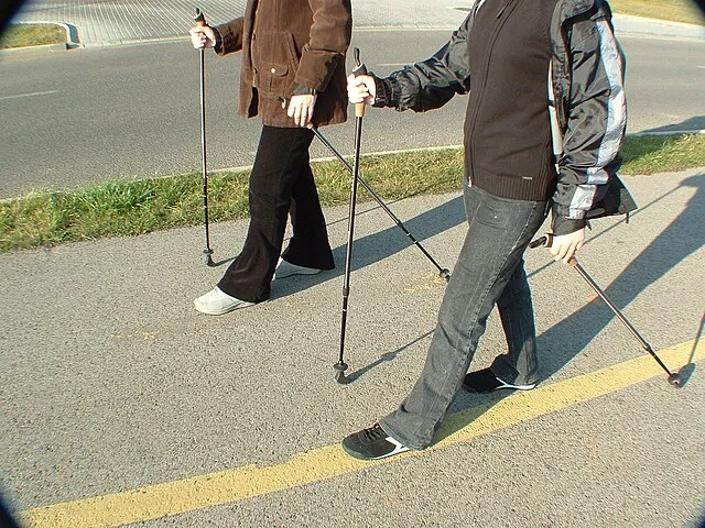 скандинавская ходьба