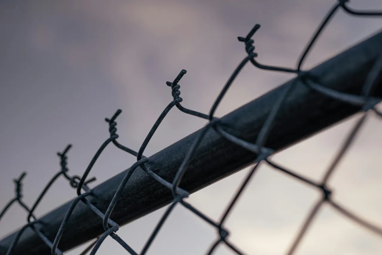 заключенные