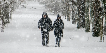 Новый год в колони