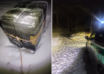 Контрабандные сигареты