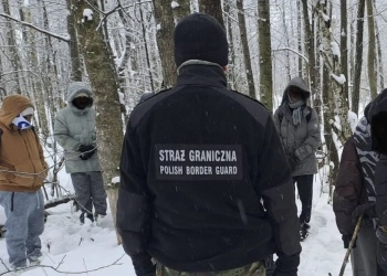 мигранты на польско-беларусской границе