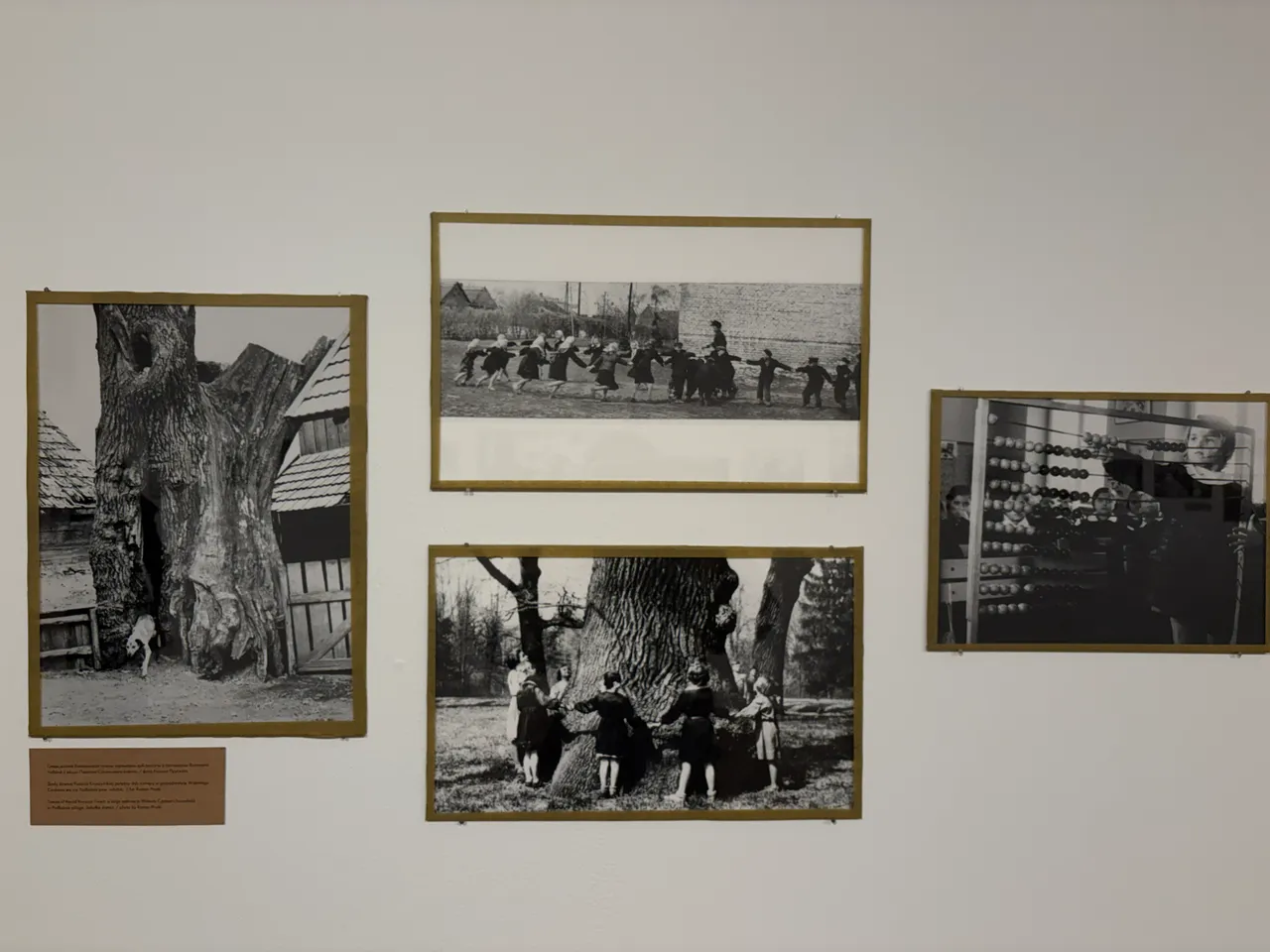 Ніва Беласток