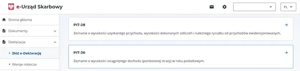 налоговая декларация в Польше