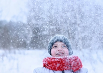 школы отменяют уроки в морозы