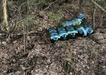 дальнобойщик в Польше