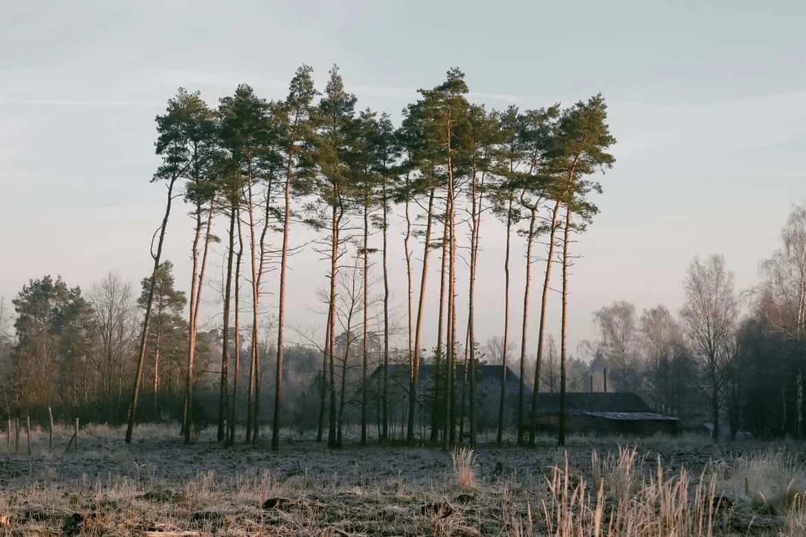 дом в польской деревне