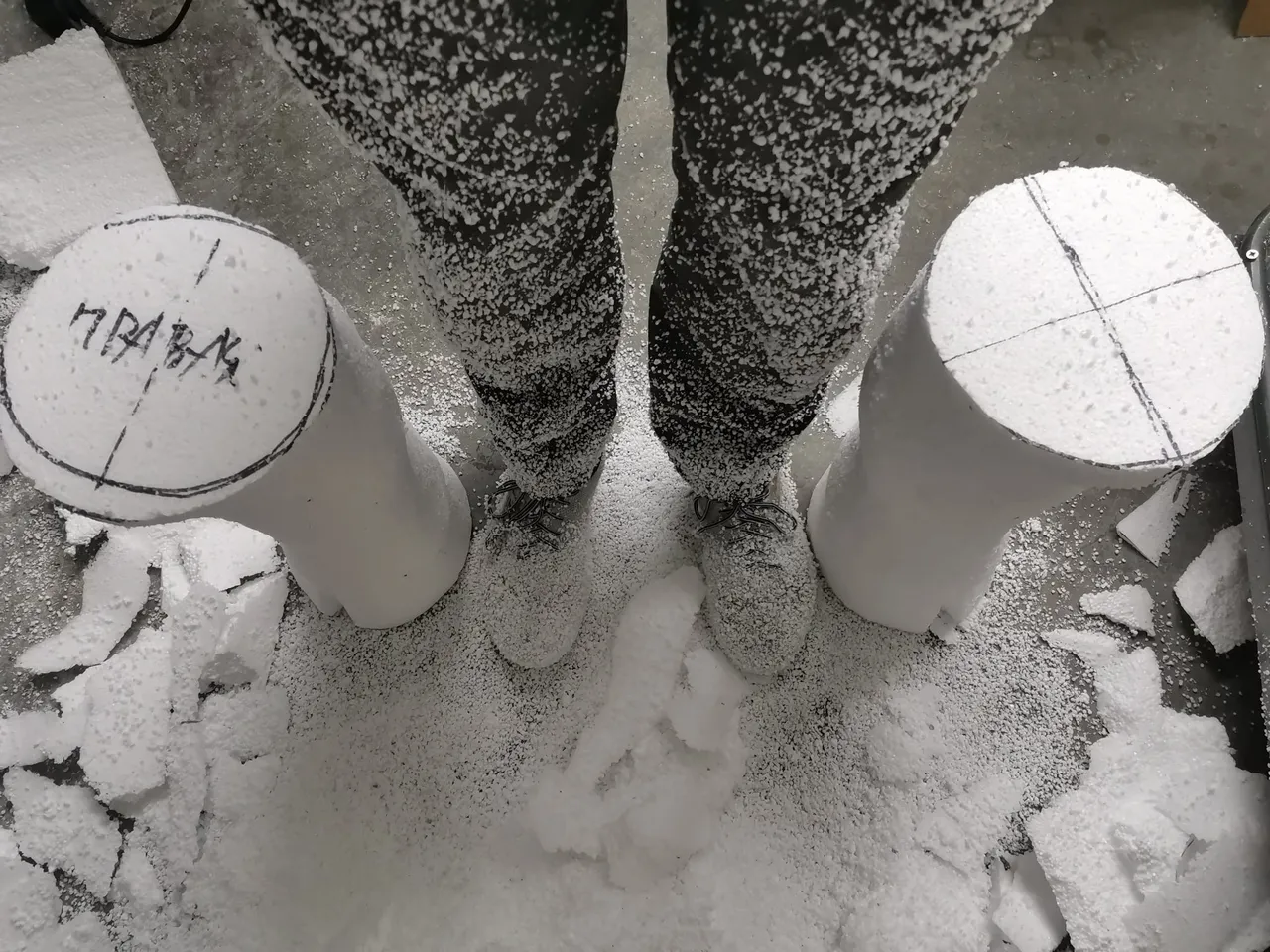 козлы в Познани