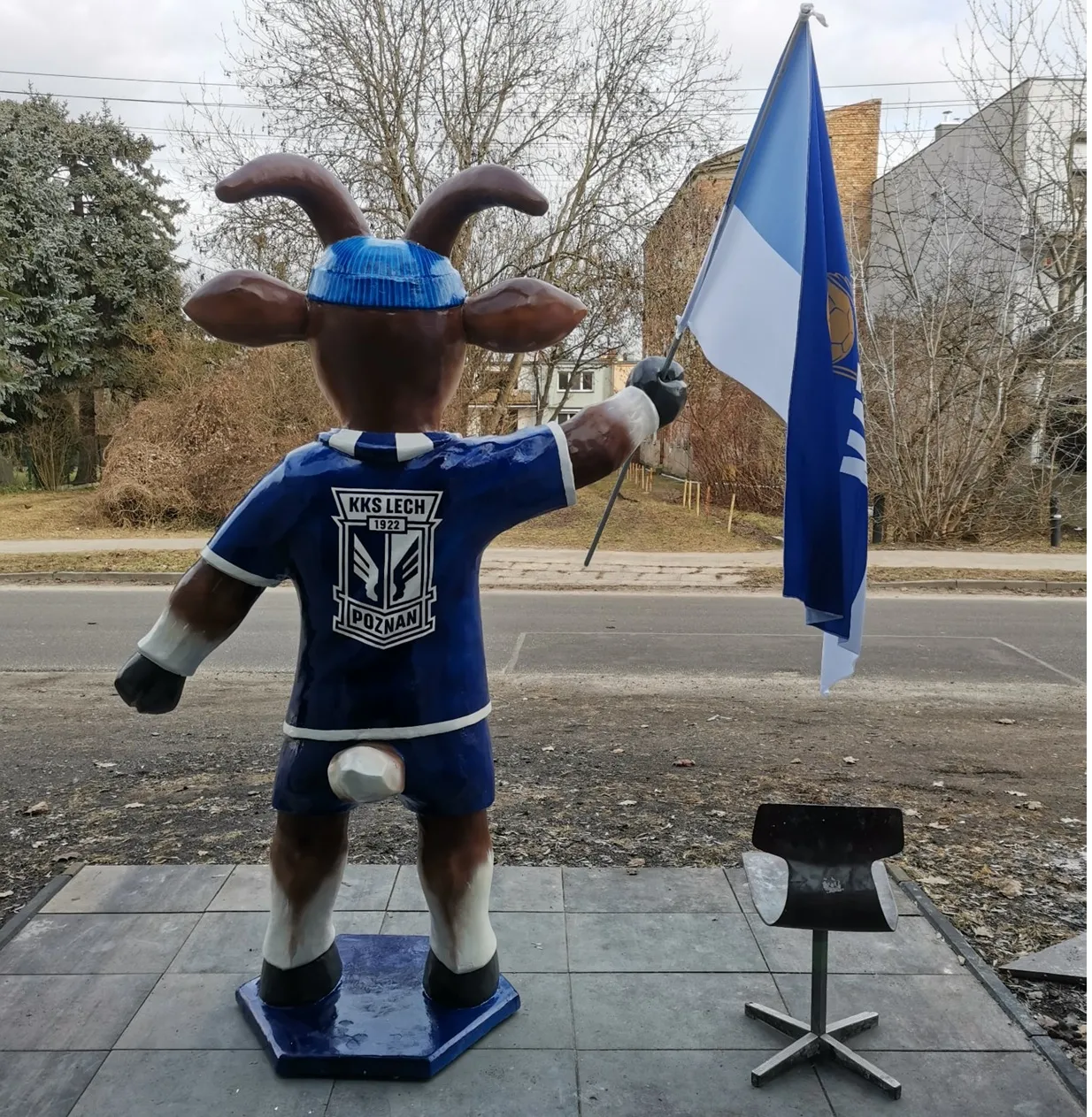 козлы в Познани