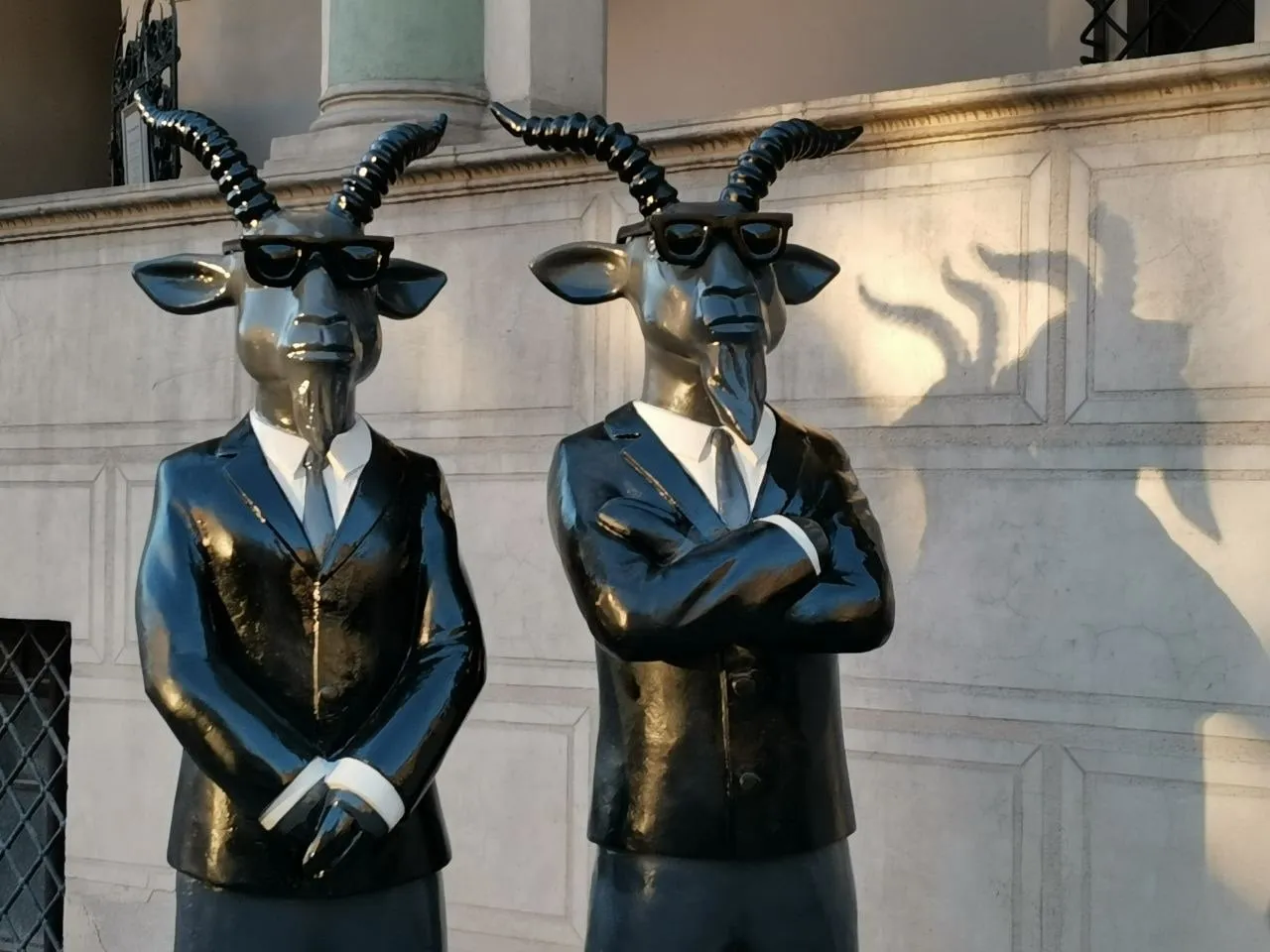 козлы в Познани