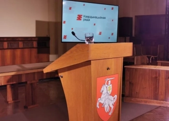 Выборы в Координационный совет