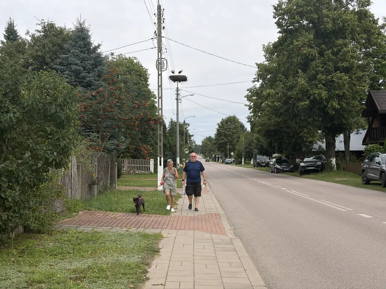 Тшесцянка