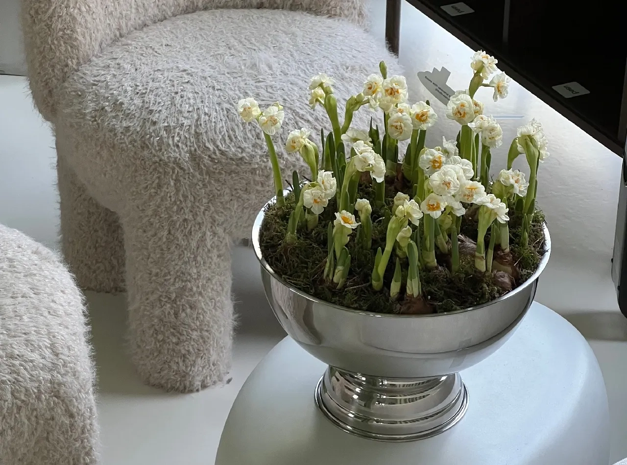 «Пацаны тоже могут покупать себе цветы». Дизайнер из Минска высаживает нарциссы в кашпо и хочет завалить ими всю Варшаву