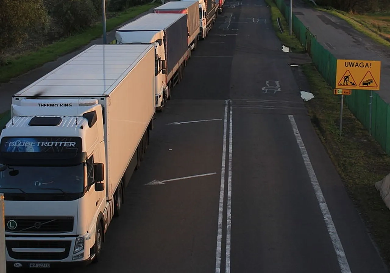 Терминал завален, очередь на 40 километров. Запрет на вывоз автомобилей из Польши в Беларусь коснулся и грузового транспорта